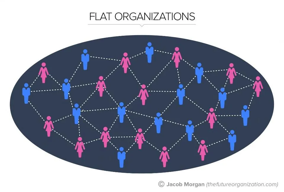 flatorganizationtypes-slide03-hires05-21-15-1940x1315mj